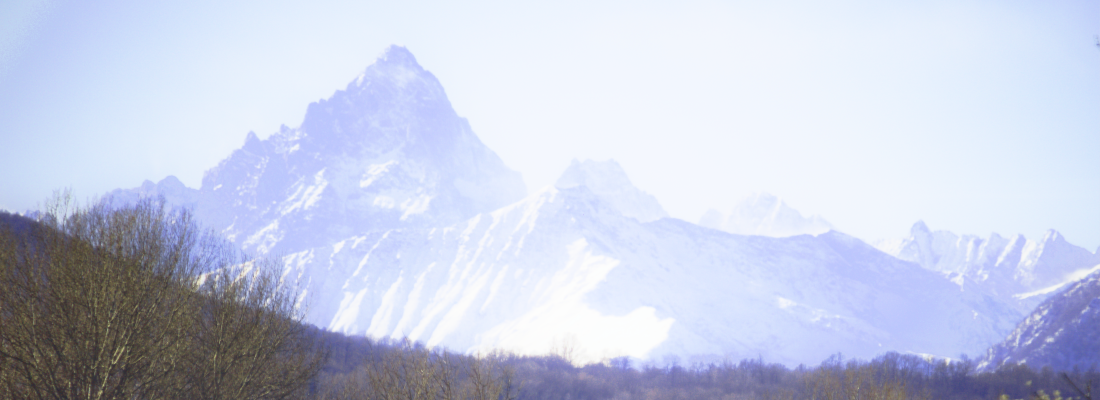 banner-1