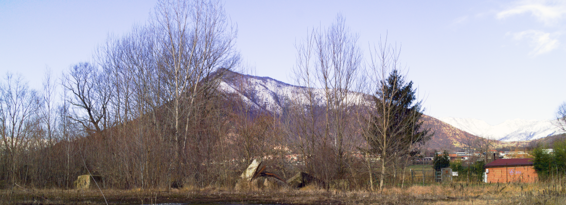 banner-2